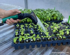 Dramm One Touch Fan Nozzle -Parkseed Shop dramm one touch fan nozzle 6