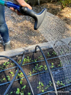 Dramm One Touch Fan Nozzle -Parkseed Shop dramm one touch fan nozzle 8JPG