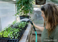 Dramm One Touch Fan Nozzle -Parkseed Shop dramm one touch fan nozzle green 03