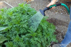 Dramm One Touch Fan Nozzle -Parkseed Shop dramm one touch fan nozzle green 04