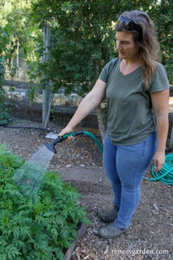 Dramm One Touch Fan Nozzle -Parkseed Shop dramm one touch fan nozzle green 05