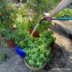 Dramm One Touch Fan Nozzle -Parkseed Shop dramm one touch fan red 02