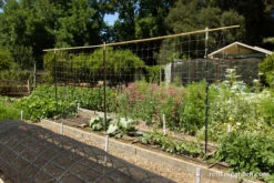 Hortonova Trellis Netting -Parkseed Shop hortonova trellis netting1 1