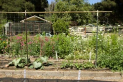 Hortonova Trellis Netting -Parkseed Shop hortonova trellis netting2 1