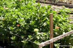 Hortonova Trellis Netting -Parkseed Shop hortonova trellis netting3 1