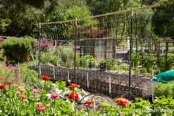 Parkseed Shop -Parkseed Shop hortonova trellis netting4 1