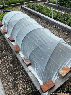 ProtekNet Insect Barrier Netting -Parkseed Shop insect netting bed web