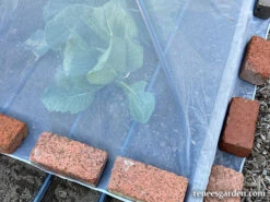 ProtekNet Insect Barrier Netting -Parkseed Shop insect netting bricks web