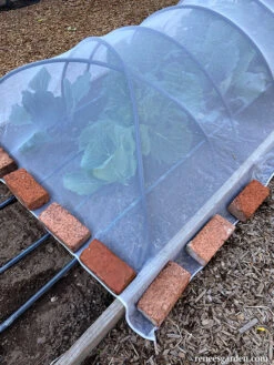 ProtekNet Insect Barrier Netting -Parkseed Shop insect netting bricks2 web