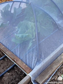 ProtekNet Insect Barrier Netting -Parkseed Shop insect netting wood1 web