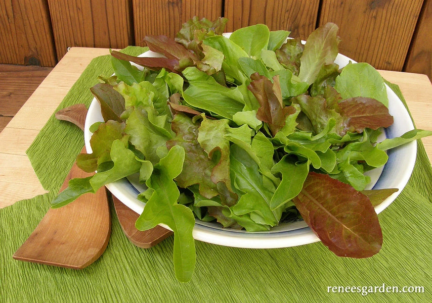 Cut And Come Again 7 Cut And Come Again - Image 5