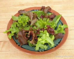 Monet's Garden Mesclun -Parkseed Shop lettuce monet sgardenmesclun 03
