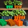 Sili-Seedlings Silicone Seed Starting Trays -Parkseed Shop sili seedlings 6 packs FEATURE