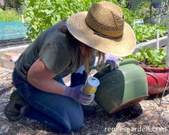 Sluggo Plus -Parkseed Shop sluggo plus web3